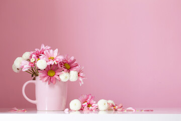 white and pink  chrysanthemums in pink cup on pink  background
