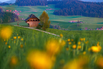 lonely, tiny farm house in Emmental with views of the Bernese Alps during spring