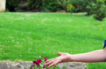 Hand of a small child with a green meadow in the background