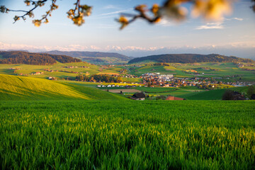 view of Biglen towards the alps in Emmental