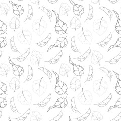 Leaves pattern.Seamless texture with black and white leaves.