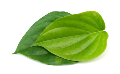 Piper betle leaf