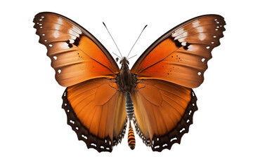 Isolated Butterfly on Transparent Background - 3D Rendering Illustration, Generative Ai