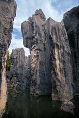 Close up on limestone Stone forest a UNESCO World Heritage Sites, Kunming Yunnan China. Background, copy space for text, vertical
