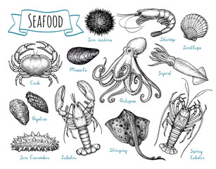 Seafood ink sketch set. - 599263421