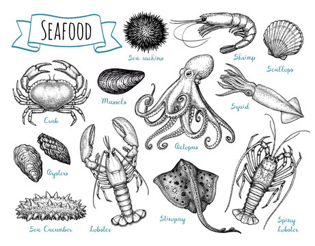 Seafood ink sketch set.
