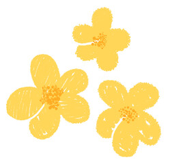 cute yellow flower pattern hand drawn