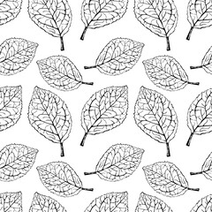 Hand drawing detailed leaf seamless pattern. Vector printed silhouette of leaf texture on white background. Botanical repeating pattern design element. black and white Vector illustration