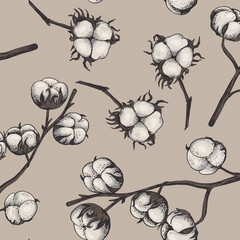 Obraz premium Cotton flower. Floral botanical flower. Isolated illustration element. Vector hand drawing wildflower for background, texture, wrapper pattern, frame or border.