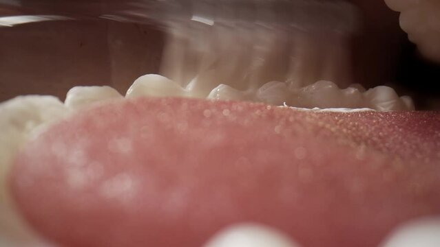 Brushing teeth inside the mouth with white toothpaste and brush. Cleaning mouth morning healthcare routine. Macro. Brush teeth close up