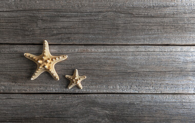 Sea stars lie on wooden boards. There is a place for your text.