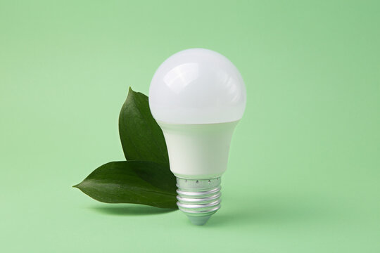 Led bulb with frsh green leafs,green energy concept.