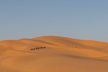 Fototapeta na wymiar fotografie del deserto del sahara a merzouga
