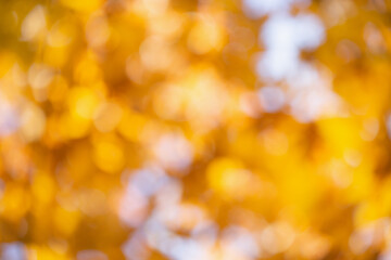 blurred abstract autumn background texture