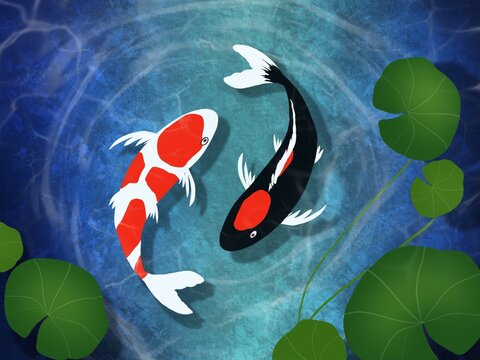 Two koi fish swim in clear water.  3D illustration drawn with a tablet.  Used as a background image, various graphics according to the belief in the matter of auspiciousness.