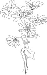 One line art. continuous line art. a flower isolated on white