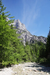 Fototapeta na wymiar A path through Berchtesgaden National park from Ramsau to Weissbach bei Lofer 