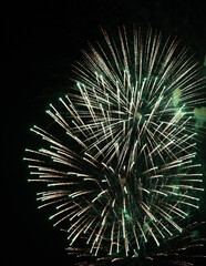 Obraz premium Fireworks in the night sky, close-up, abstract background with copy space