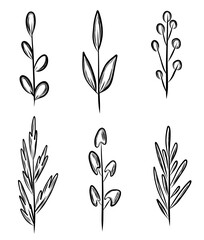 Set of hand drawn branch and leaves in sketch style
