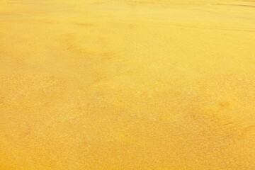 Fototapeta na wymiar Golden sand background . Texture of sandy desert