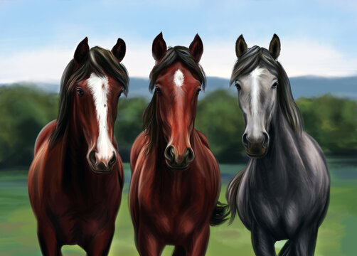 This is a digital drawing of three horses in a realistic style. The horses are depicted standing together, with their muscular bodies and flowing manes. 