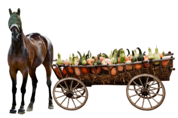 Halloween. Happy Halloween. Details.	
