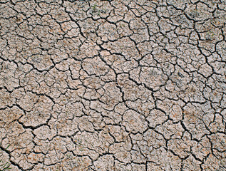 The clay surface is cracked by the dry season and the water shortage.