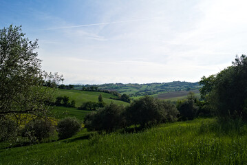 Obraz premium Paesaggio marchigiano in primavera
