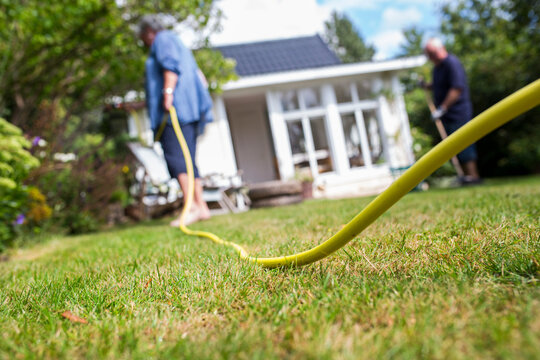Woman watering plants with garden hose