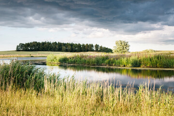 Landscape with pond and overcast sky