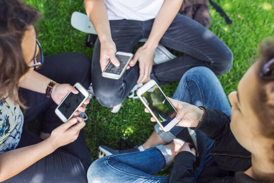 High angle view of teenage girls (14-15) and teenage boy (16-17) sitting on grass and using smart phones