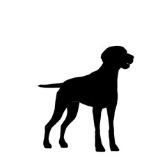 sagoma nera di cane da caccia su quattro zampe