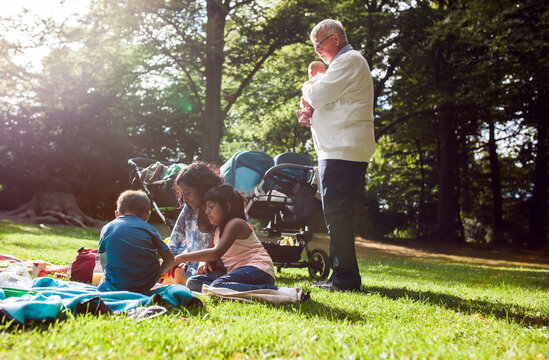 Multi-generation family (6-11 months, 2-3, 6-7) having picnic in park