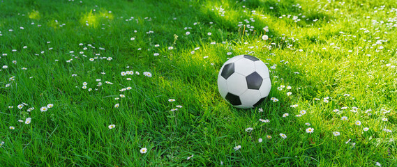  The football lays on a green grass