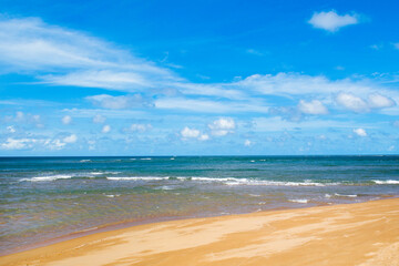 Beautiful landscape of the Indian Ocean coast