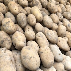Closeup of many fresh raw potatoes for sale on the market, full frame of potatoes. Selective focus