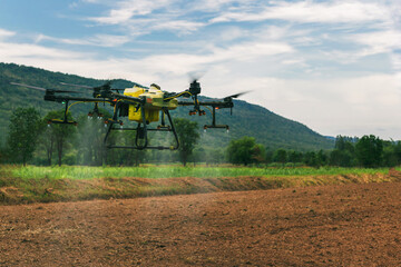 Fototapeta premium farmers are using Flying drone spraying medicine in agriculture