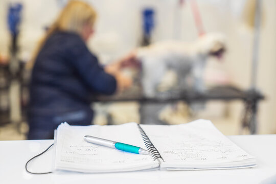 Pen and notebook on table, groomer trimming dog in background