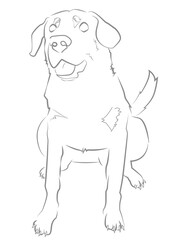 Cachorro feliz sentado com língua de fora desenho contorno para colorir