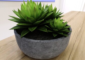 3d rendering of decorative plant vase inside.