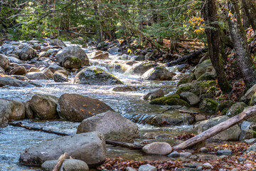 Northern New England River During Autumn