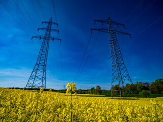 Strommasten im Rapsfeld