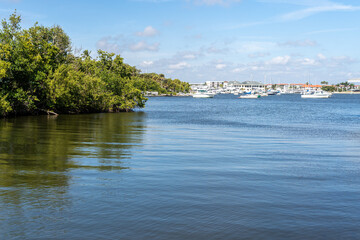 Fototapeta na wymiar Naples Florida Marina with Mangroves 