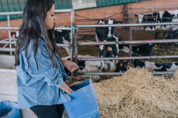 Young woman farmer picking carrying a bucket with grain feed for cows. © Jorge