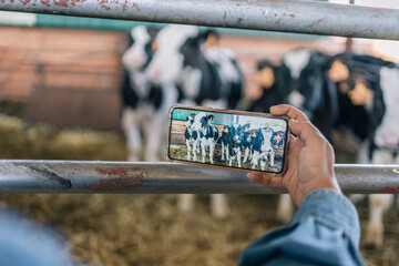 Close-up image of the hands of an unrecognizable young woman farmer taking horizontal photos of...