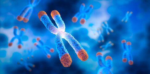 Chromosomes with Telomere floating on blue background - science and anti aging technology - 3D illustration - 599321803