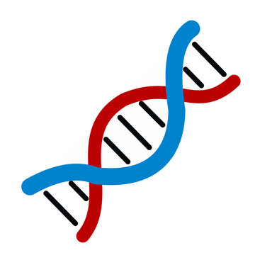 3d render of a dna strand png icon download 