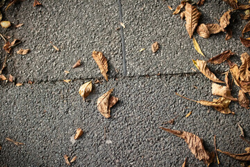 Aesthetic Autumn Ground Background