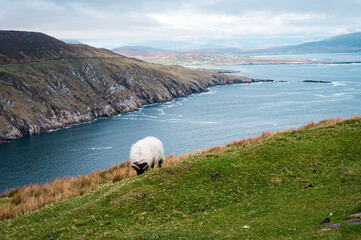 Obraz premium Achill island scenes