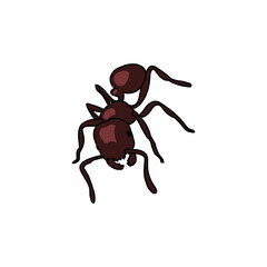 illustration of ant